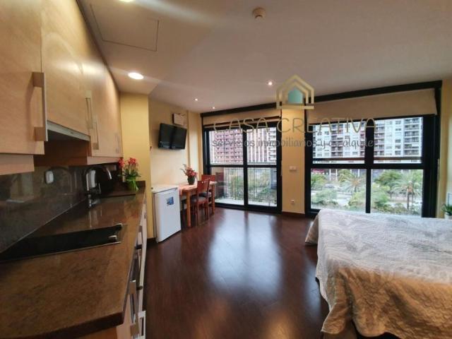 Alquiler Apartamentos Valencia Valencia DS102811714