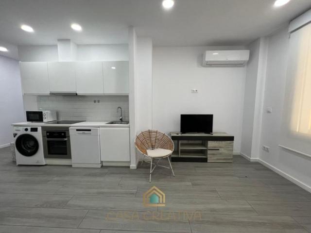 Alquiler Apartamentos Valencia Valencia DS103091098
