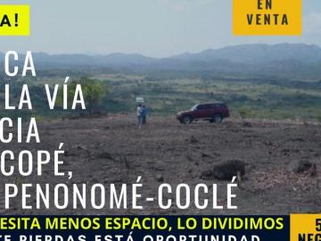 alquiler con opción a compra de finca en área del Potrero del Copé
