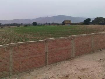 Alquiler De Terreno Agricola Av Tupac Camino Canta