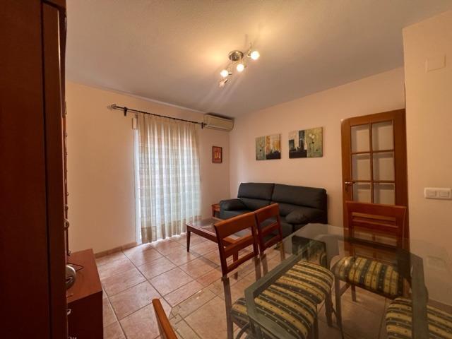 ALQUILER DE APARTAMENTO AMUEBLADO EN LA ALBERCA