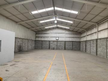 Alquiler de Bodega Industrial en San Felipe, Torreón