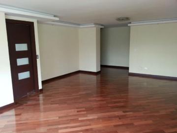 Alquiler de Departamento en San Luis, Lima | Bolsa Inmobiliaria Perú