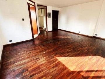 Alquiler de duplex en san isidro