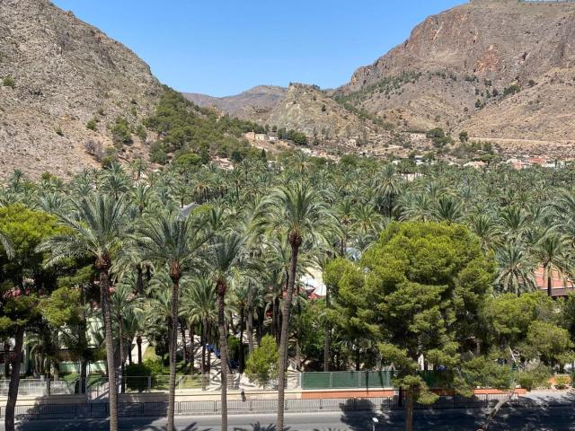 ALQUILER DE HABITACIÓNES PARA ESTUDIANTES EN ORIHUELA ZONA EL PALMERAL