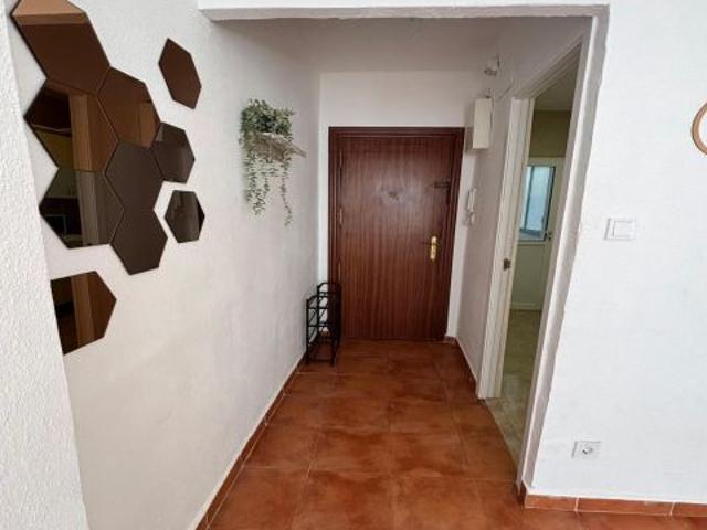 Alquiler de larga temporada en Calle Maestro Luis Torregrosa 15