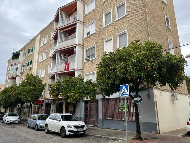 Alquiler de local en Pio XII