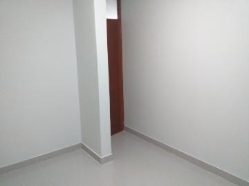 Alquiler departamento cañete