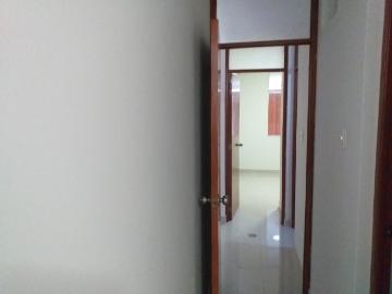 Alquiler departamento cañete