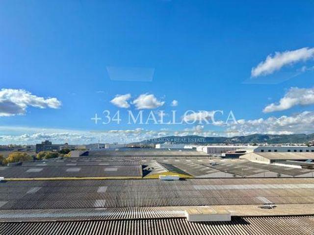 Alquiler Escritorios Palma De Mallorca Mallorca DLS98149514
