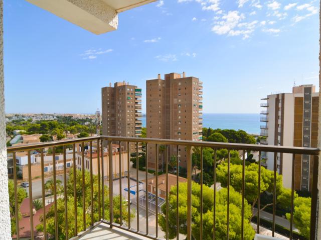 Alquiler estudio con terraza, vistas al mar