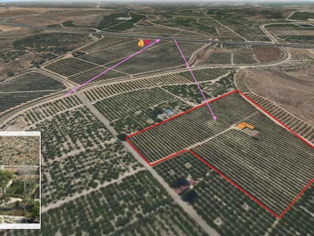 Alquiler finca agrícola en Santomera – 34.300 m2 de regadío con acceso directo a autovía