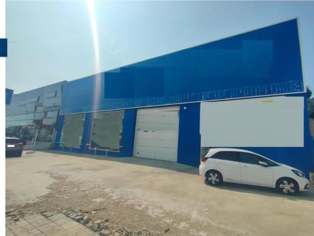 Alquiler Industrial Alicante Alicante DLS97603760