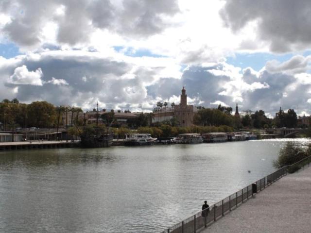 Alquiler Negocio Sevilla Sevilla DLS102811767