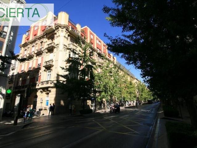 ALQUILER OFICINA EN GRAN VÍA, CENTRO DE GRANADA