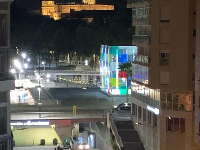 Alquiler piso en la Malagueta