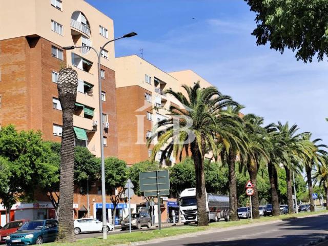 Alquiler piso para estudiantes responsable en Sinforiano Madroñero Valdepasillas