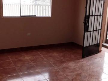 ALQUILO DEPARTAMENTO EL PINAR COMAS