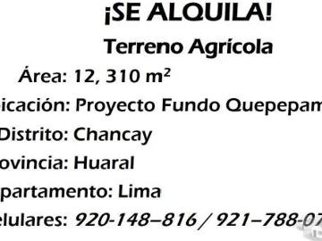 Alquilo Terreno Agrícola