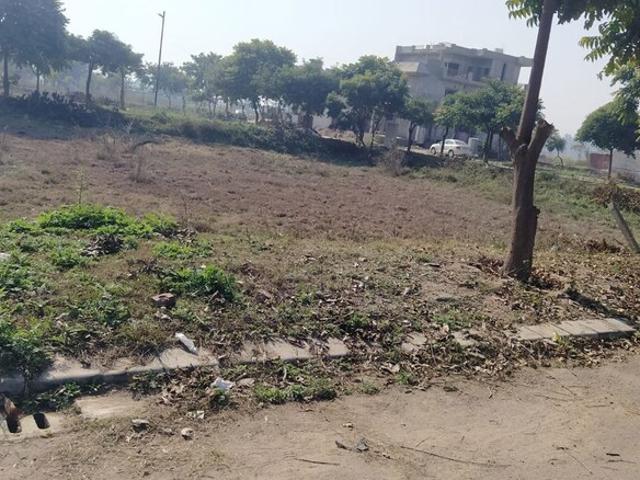 Altus Prime 133 Sq.Yd. Plot in North Mullanpur Chandigarh Listing ID: #10269