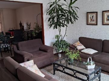 Altura del Parque Las Tortugas Urb. Cedros de Villa