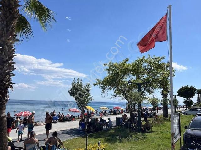 Altınoluk Yağcılar Denize 250 M Rota