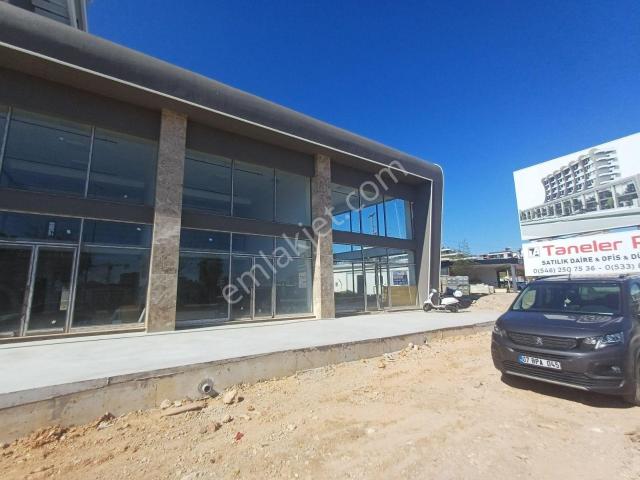 Altıntaş Havaalanı Yolu Üstünde 375 M2 Kiralık Mağaza Dükkan
