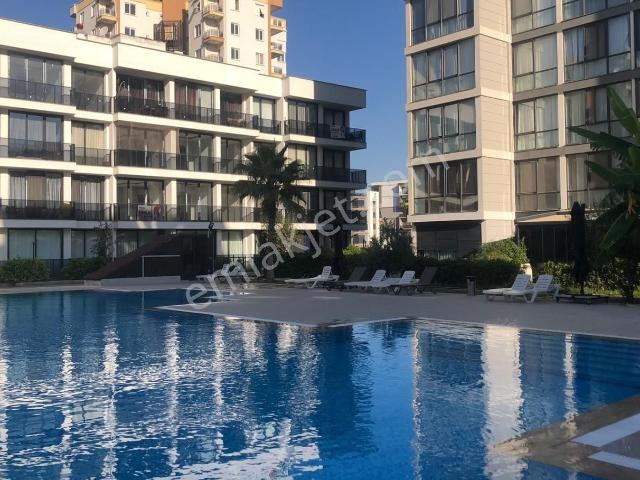 Altıntaş'ta Full Eşyalı Katta 1+1 Kiralık Daire!