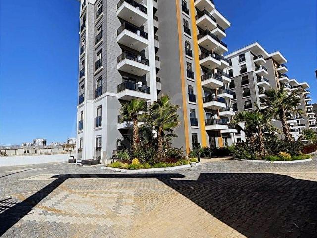 Altıntaş'ta kiralık 1+1