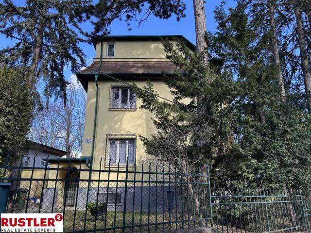Alt Wiener Villa in attraktiver Lage des 19.Bezirks