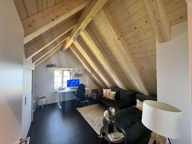 Altbaucharme trifft Moderne