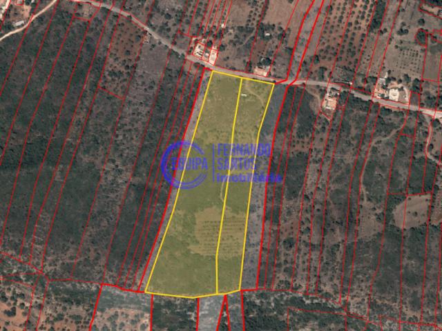 Alte Algarve 75167872