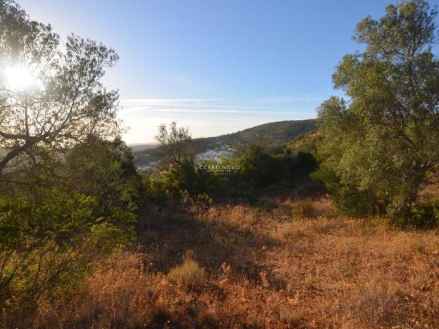 Alte Algarve 84284272