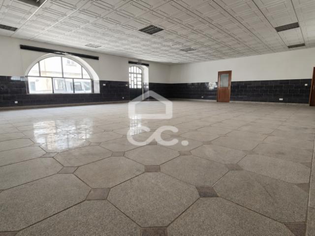 Alter do Chão Portalegre 104537486