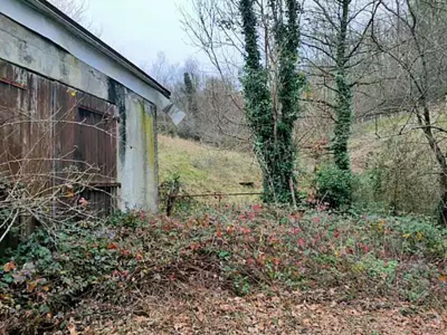 Altillac 19120 Achat / Vente terrain