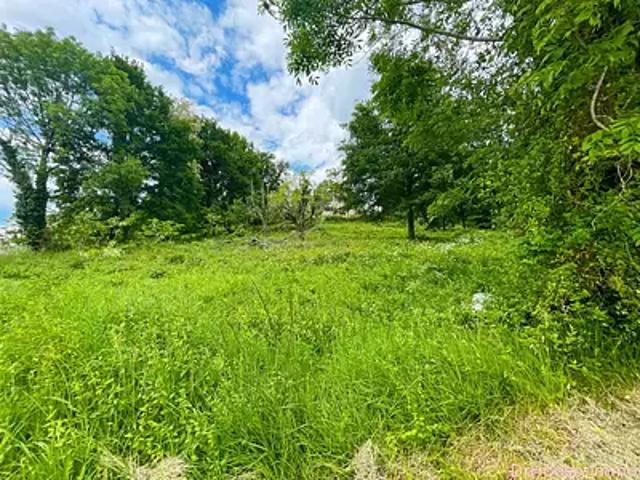 Altillac 19120 Achat / Vente terrain