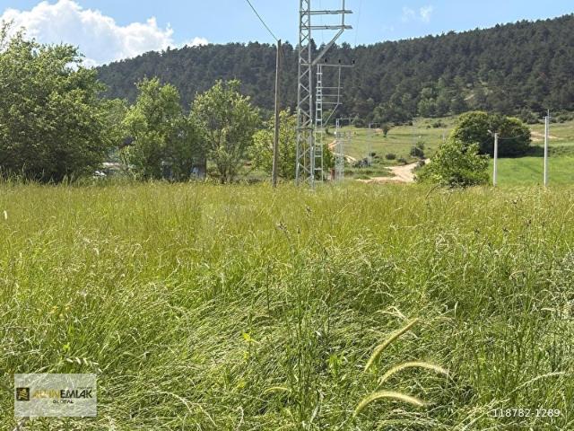 ALTIN EMLAK BOLU ÇARŞI TEMSİLCİLİĞİ AĞAÇÇILAR 1.000 m2