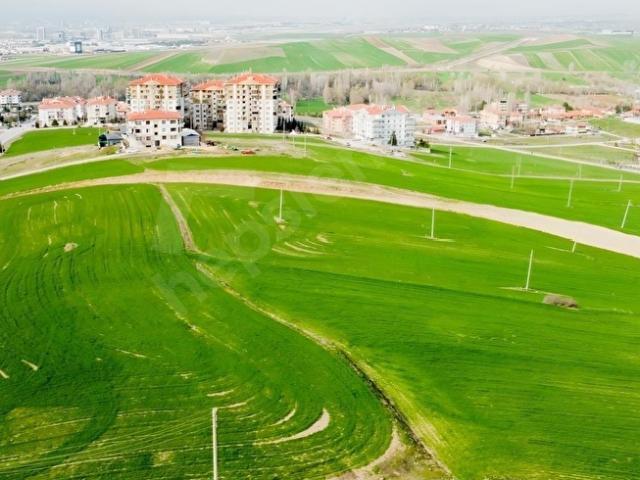 ALTINOVA DA İMARA SINIR 1019 800ADA10 PARSEL 1.812 METRE