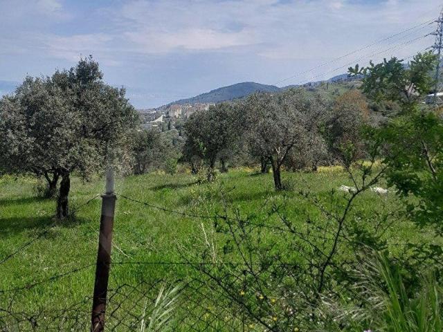 ALTINOVA KAYTAZDERE 962 M2 ARAZİ