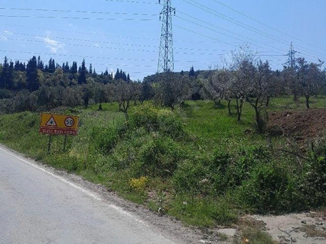 ALTINOVA KAYTAZDEREDE 946 M2 ARAZİ