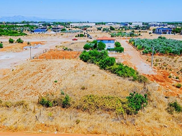 ALTINKALE'DE 808 M2 KÖŞE PARSEL KARŞISI PARK SATILIK ARSA