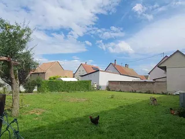 Altorf 67120 Achat / Vente terrain