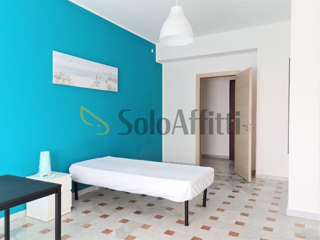 Altro in affitto a Catanzaro, case in affitto Catanzaro