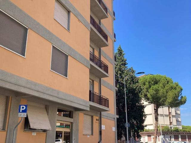 Altro in affitto a Firenze, case in affitto Firenze