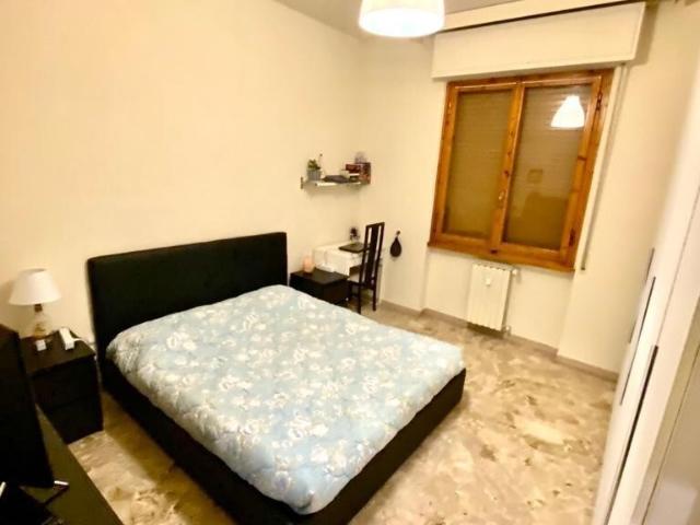 Altro in affitto a Firenze, case in affitto Firenze