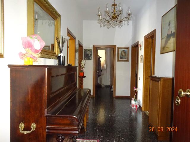 Altro in affitto a Sesto Fiorentino, case in affitto Sesto Fiorentino