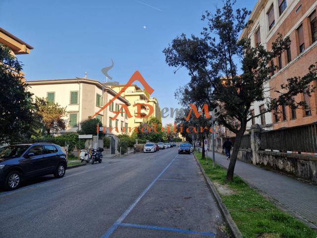 Altro in affitto a Pisa, case in affitto Pisa