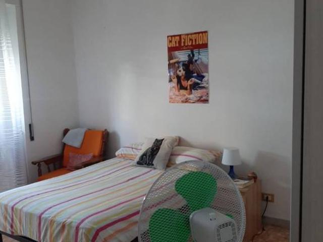Altro in affitto a Roma, case in affitto Roma