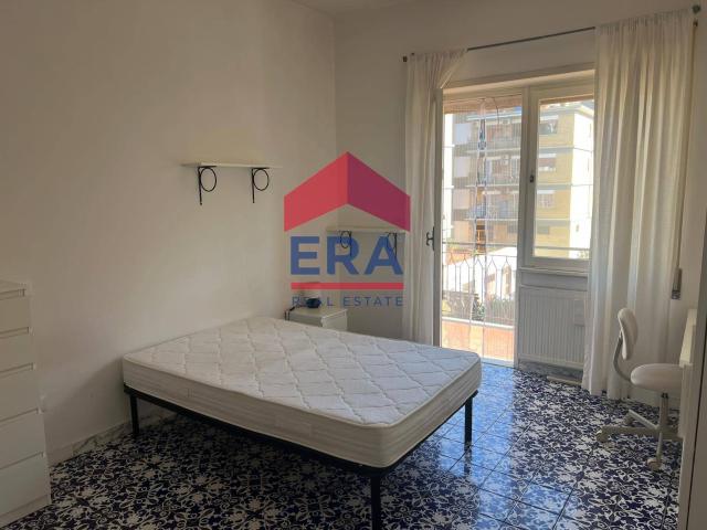 Altro in affitto a Roma, case in affitto Roma