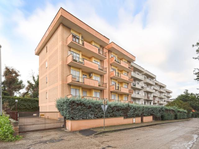 Altro in affitto a Viterbo, case in affitto Viterbo